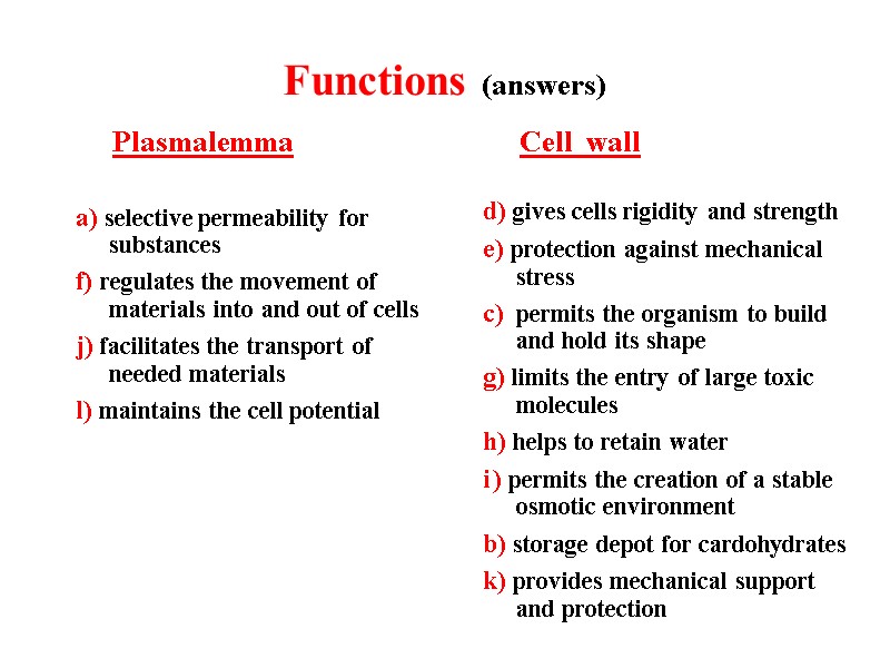 Functions (answers)      Plasmalemma  a) selective permeability for substances